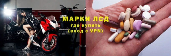 PSILOCYBIN Алзамай