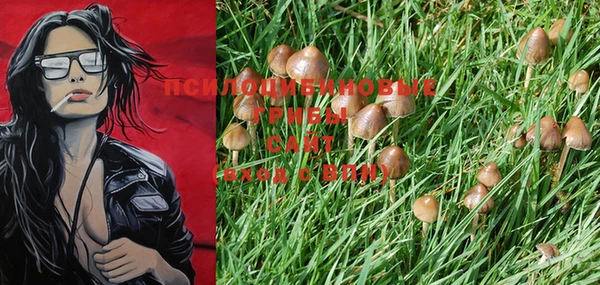 PSILOCYBIN Алзамай