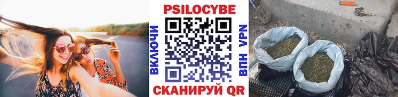 как найти наркотики  Новочебоксарск  Псилоцибиновые грибы MAGIC MUSHROOMS 